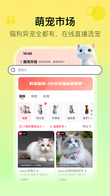 宠胖胖截图
