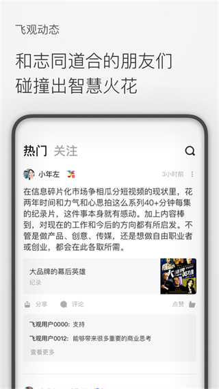飞观截图