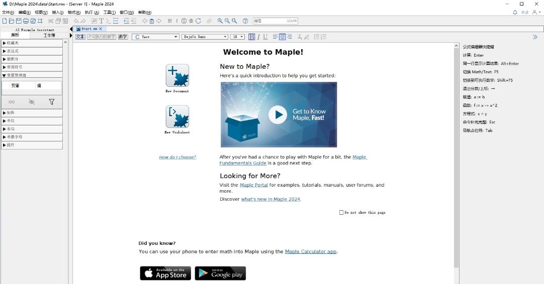 Maplesoft Maple2024中文激活版截图3