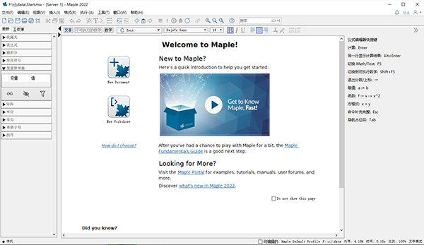 Maplesoft Maple 2022中文破解版截图1