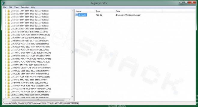immersivewindowmanager