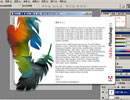 Adobe Photoshop CS 8.0 �������İ�װ��(��ע���)